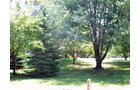 Property photo 8 - Real Estate Auction - 5 Bedroom Home